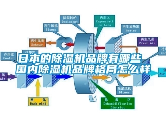 企业新闻日本的除湿机品牌有哪些 国内除湿机品牌格局怎么样