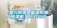 嘉兴防爆型管道防爆除湿机 BCGZ10