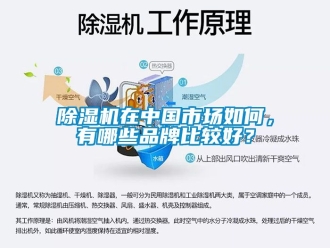 企业新闻除湿机在中国市场如何，有哪些品牌比较好？