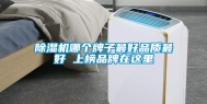 除湿机哪个牌子最好品质最好 上榜品牌在这里